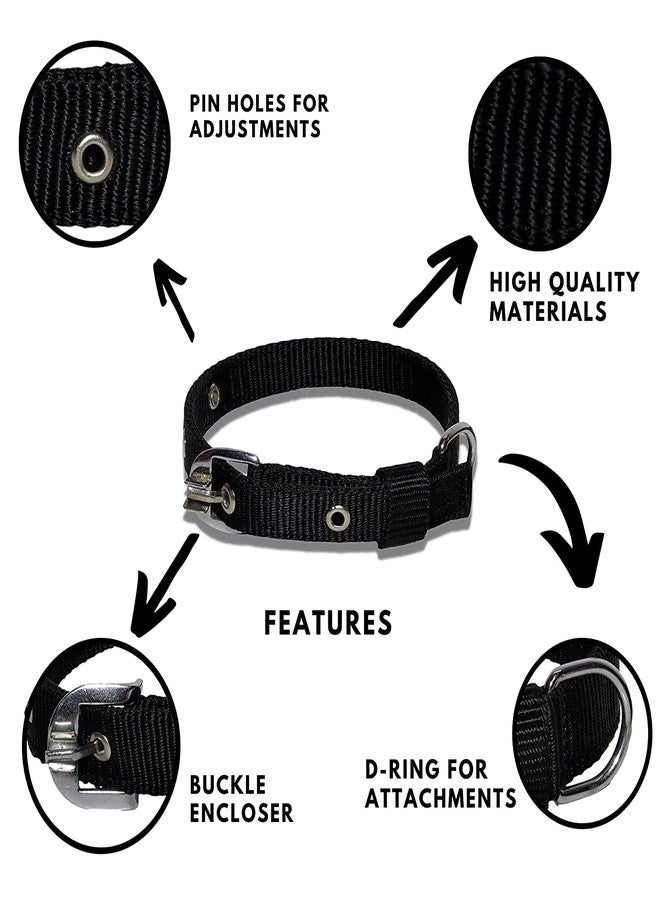 Pups&Pets Dog Belt Adjustable Nylon Sturdy & Fancy Pet Neck Collar for Dog (1 Inch - 14 to 20 Inch Large, Black Color) - Image 2